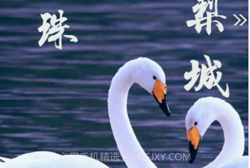 库尔勒好地方v1.0.22截图