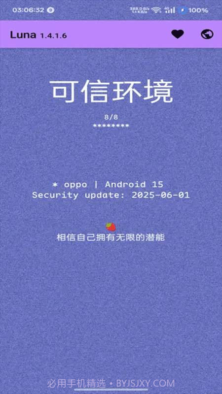 Luna环境检测工具免费正版1.4.1.10截图