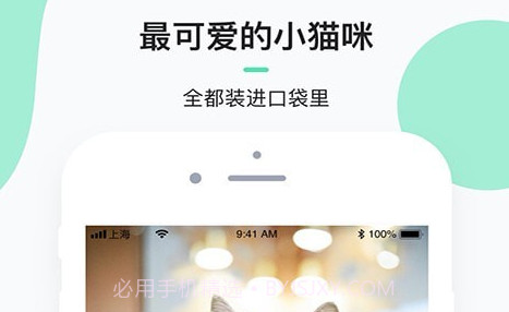 每日一猫v1.0.25截图