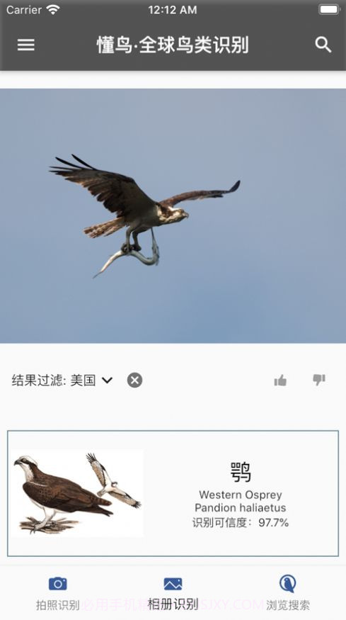 懂鸟全球v.1.109截图