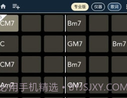 chord ai prov2.4.21截图