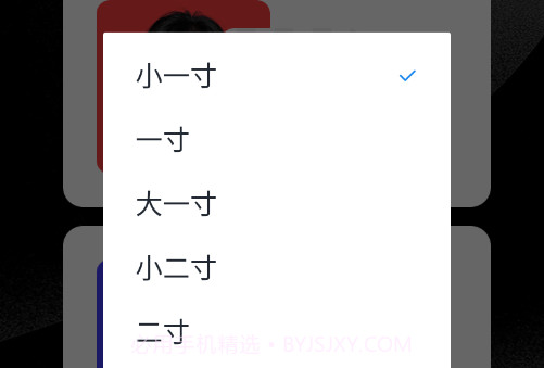 证件照生成millv1.22截图