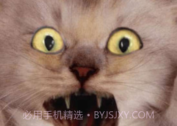 吓人的恶作剧: 吓唬朋友v2.20截图