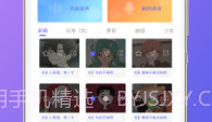 语音包助手大全V1.0.19截图