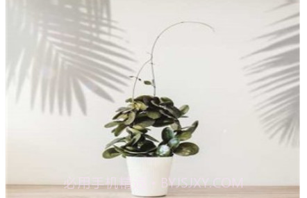 光影修图v1.0.26截图