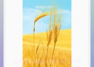 像素修图大师v1.21截图