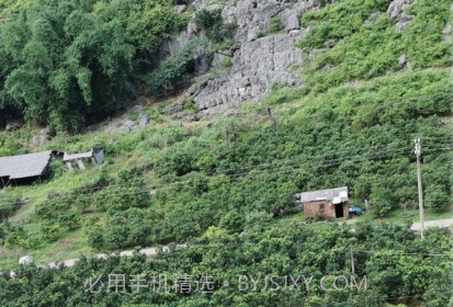 万能拍照识花免费v23.6.22截图