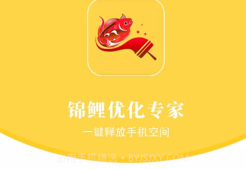 锦鲤优化专家v1.0.21截图
