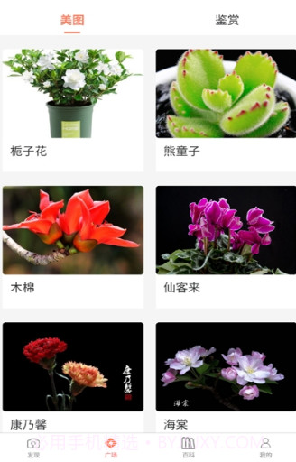 识花神器v20.09.28截图