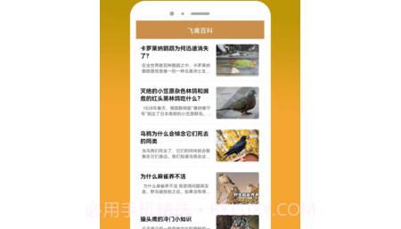 飞禽大全资讯v1.27截图