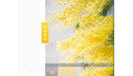 尖叫视频助手v1.0.25截图