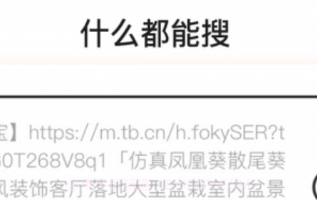 什么都能搜v1.0.0.26截图