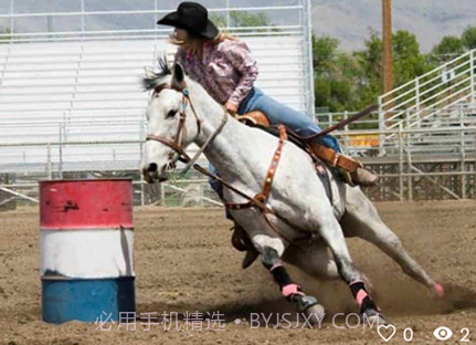 PonyPlace马匹交易v0.0.24截图