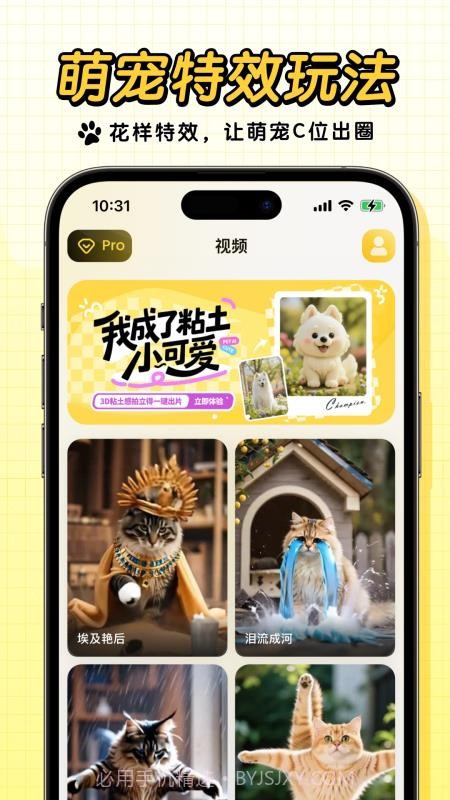 宠玩官方版v1.7.3截图