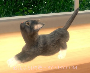 与我的猫咪v1.0.26截图