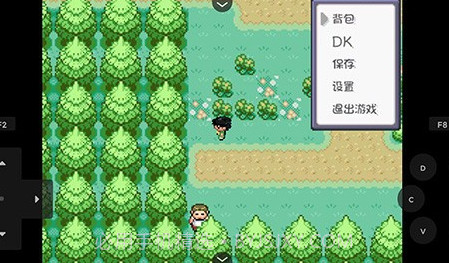 口袋妖怪燃之智v4.0.24截图