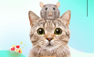 萌萌答v1.0.23截图