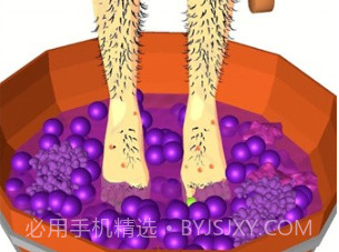 酿酒师v1.0.29截图