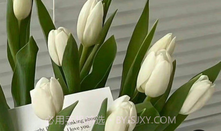 团啊取图v1.0.25截图