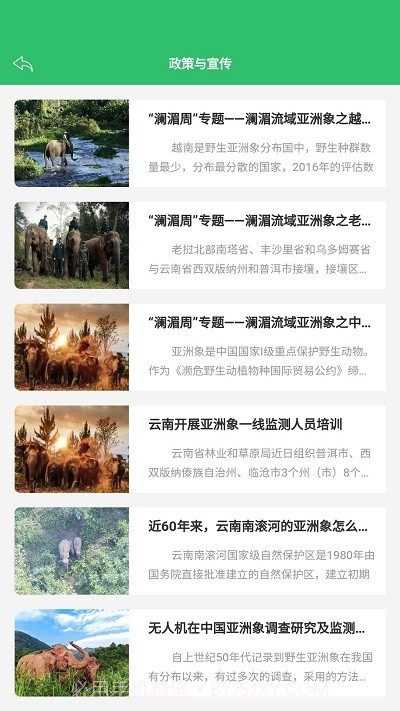 亚洲象预警截图1