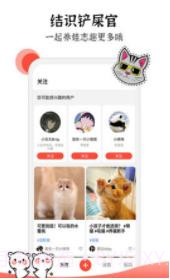 猫猫社截图2