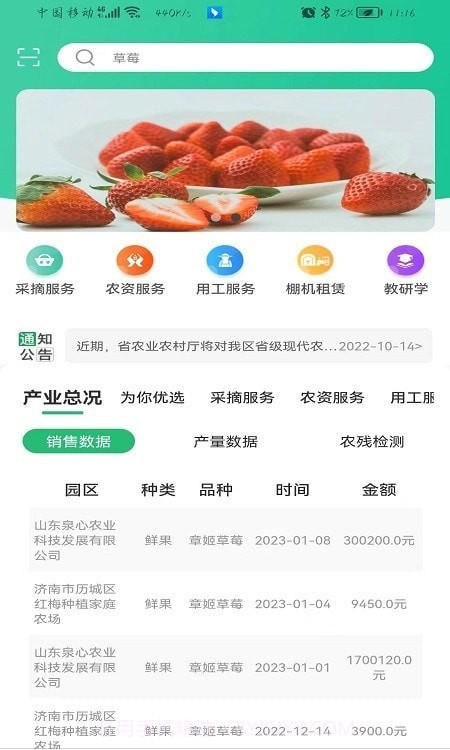 泉水草莓截图1 泉水草莓截图1