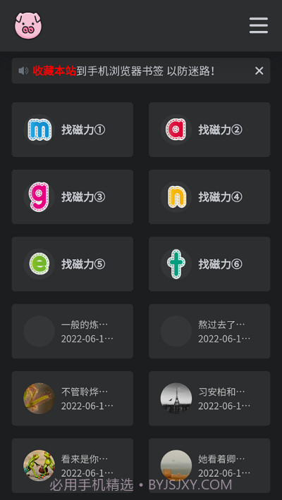 bt磁力猪截图2