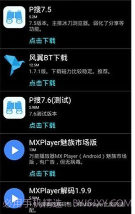 P搜 V7.5 截图2