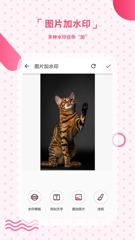 去水印相机截图4