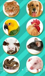 仓鼠语言翻译器（Pet Translator）截图3