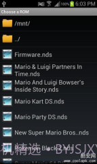 NDS模拟器:DSdroid截图1