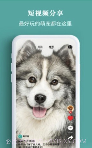 宠+app(宠物社区)V2.0.4 截图1