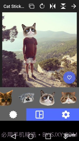 猫头贴纸截图1