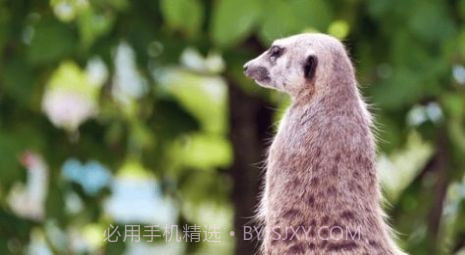 当贝屏保截图3 当贝屏保截图3