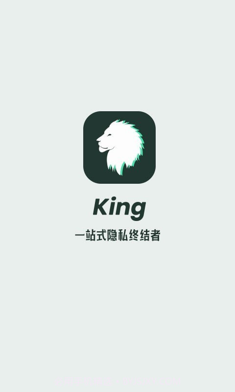 King隐私隐藏截图1