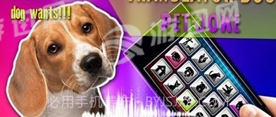 狗狗沟通交流器截图2 狗狗沟通交流器截图2