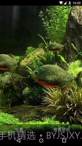 3D食人鱼：梦象动态壁纸截图1