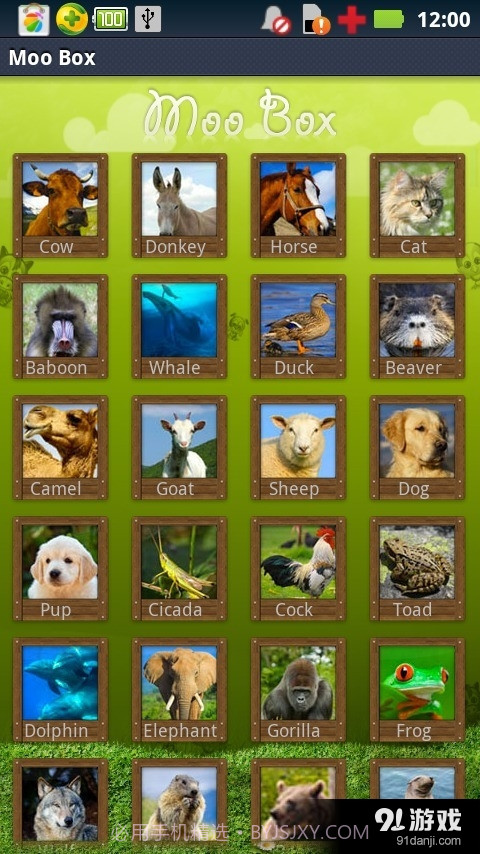 动物的声音软件截图1