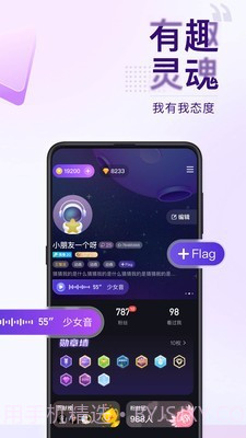 Flag截图5