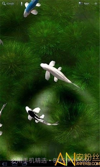 自由锦鲤动态壁纸截图1
