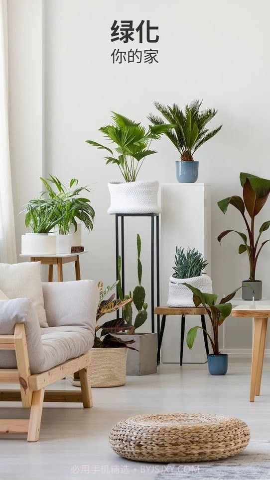 Blossom植物识别截图4