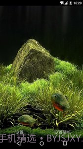 3D食人鱼：梦象动态壁纸截图3