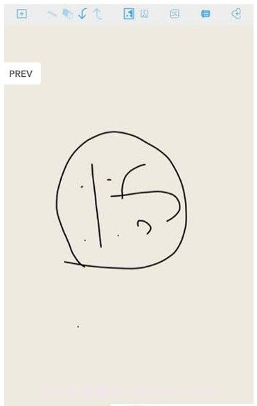 掌上简笔画APP截图3