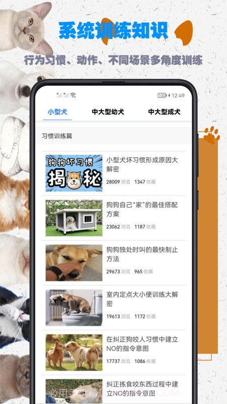 训练狗狗教程截图2