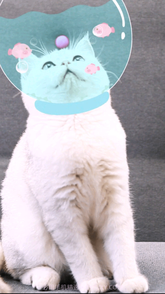 相机潮自拍截图4