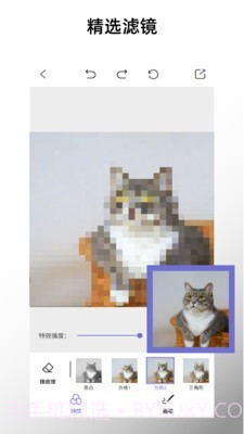 特效马赛克截图1