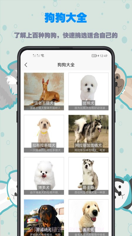 训练狗狗教程截图3