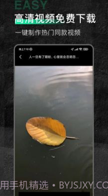 口袋今日素材截图2