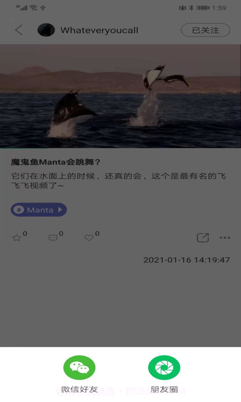 潜水指南MoreDive截图4