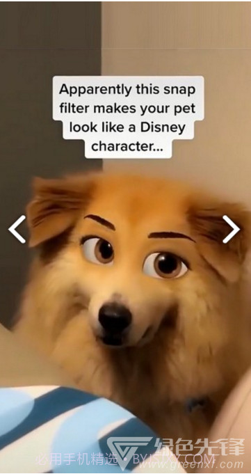 迪士尼滤镜(snapchat迪士尼滤镜)V1.1 安卓免费版截图1